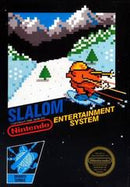 Slalom [5 Screw] - Loose - NES