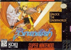 Brandish - Complete - Super Nintendo