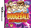Super Dodgeball Brawlers - In-Box - Nintendo DS  Fair Game Video Games